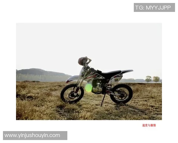 足球球星老虎头像精美设计彰显运动激情与霸气气质